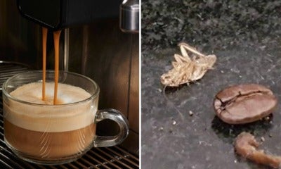 40 Per Cent Of Commercial Coffee Machines Are Reportedly Infested With Cockroaches - World Of Buzz 3