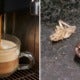 40 Per Cent Of Commercial Coffee Machines Are Reportedly Infested With Cockroaches - World Of Buzz 3