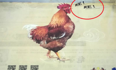 Local Newspaper Features 'Barking' Rooster Advertisement Receives Backlash From Netizens - World Of Buzz 4