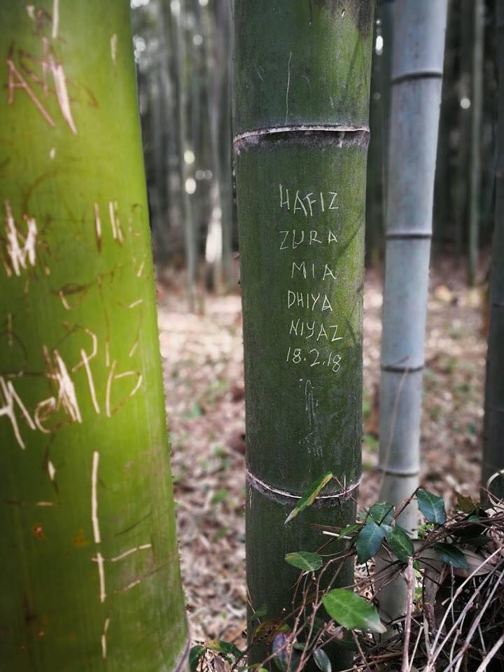 Malaysian Tourists Allegedly Carve Names On Bamboo In Japan - World Of Buzz 1