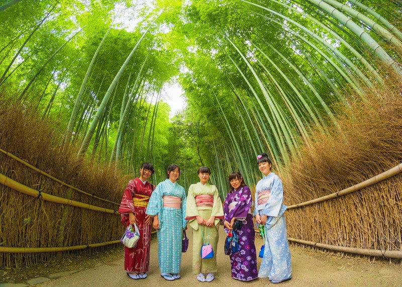 Malaysian Tourists Allegedly Carve Names on Bamboo in Japan - WORLD OF BUZZ 3