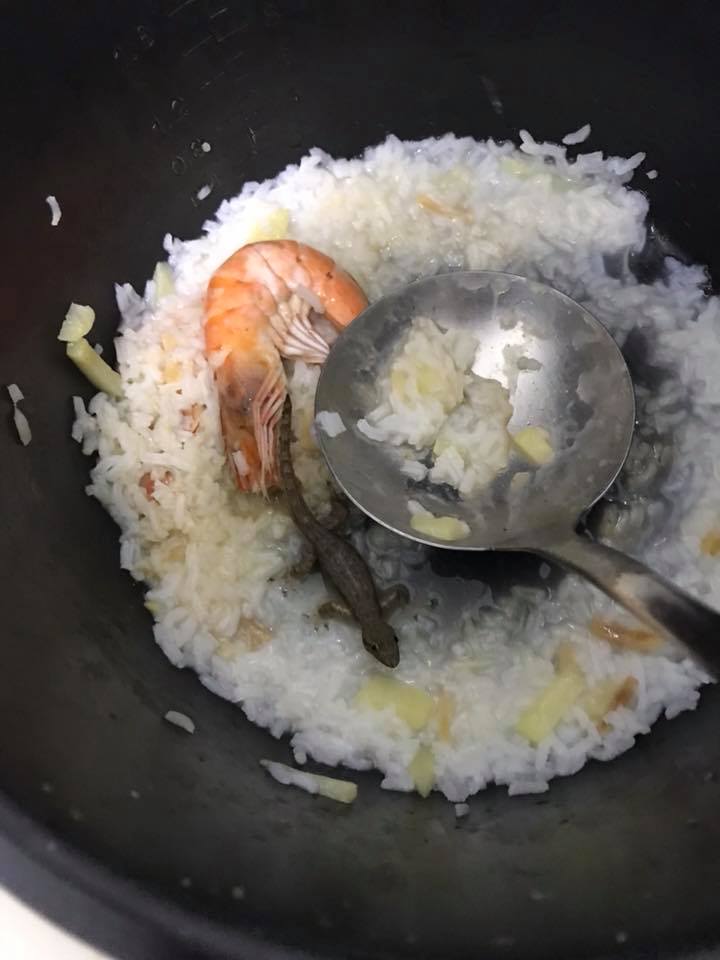 M'sian Girl Catches Three Lizards Using Bare Hands In Seafood Porridge - World Of Buzz 3