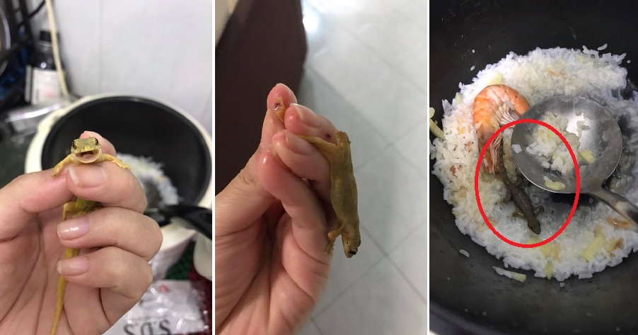 M'sian Girl Catches Three Lizards Using Bare Hands in Seafood Porridge - WORLD OF BUZZ 5