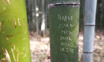 M'Sian Tourists Allegedly Vandalise Bamboo At Japan Unesco Heritage Site - World Of Buzz