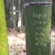 M'Sian Tourists Allegedly Vandalise Bamboo At Japan Unesco Heritage Site - World Of Buzz