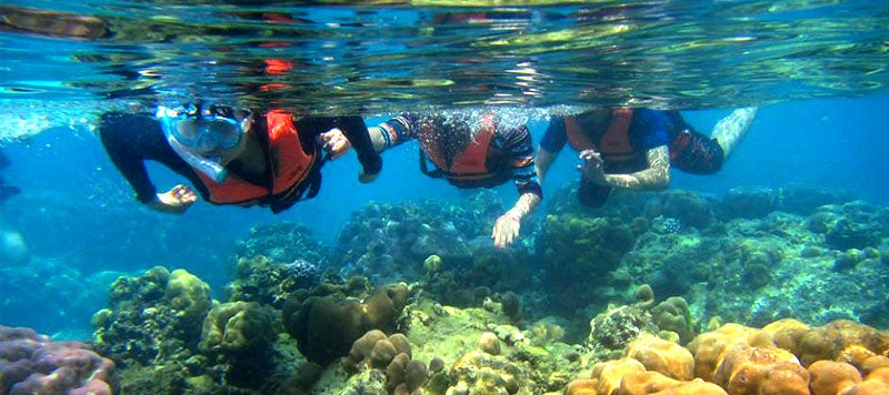 This is Why You Shouldn't Sit On Coral Reefs On Your Next Snorkeling Trip - WORLD OF BUZZ 4
