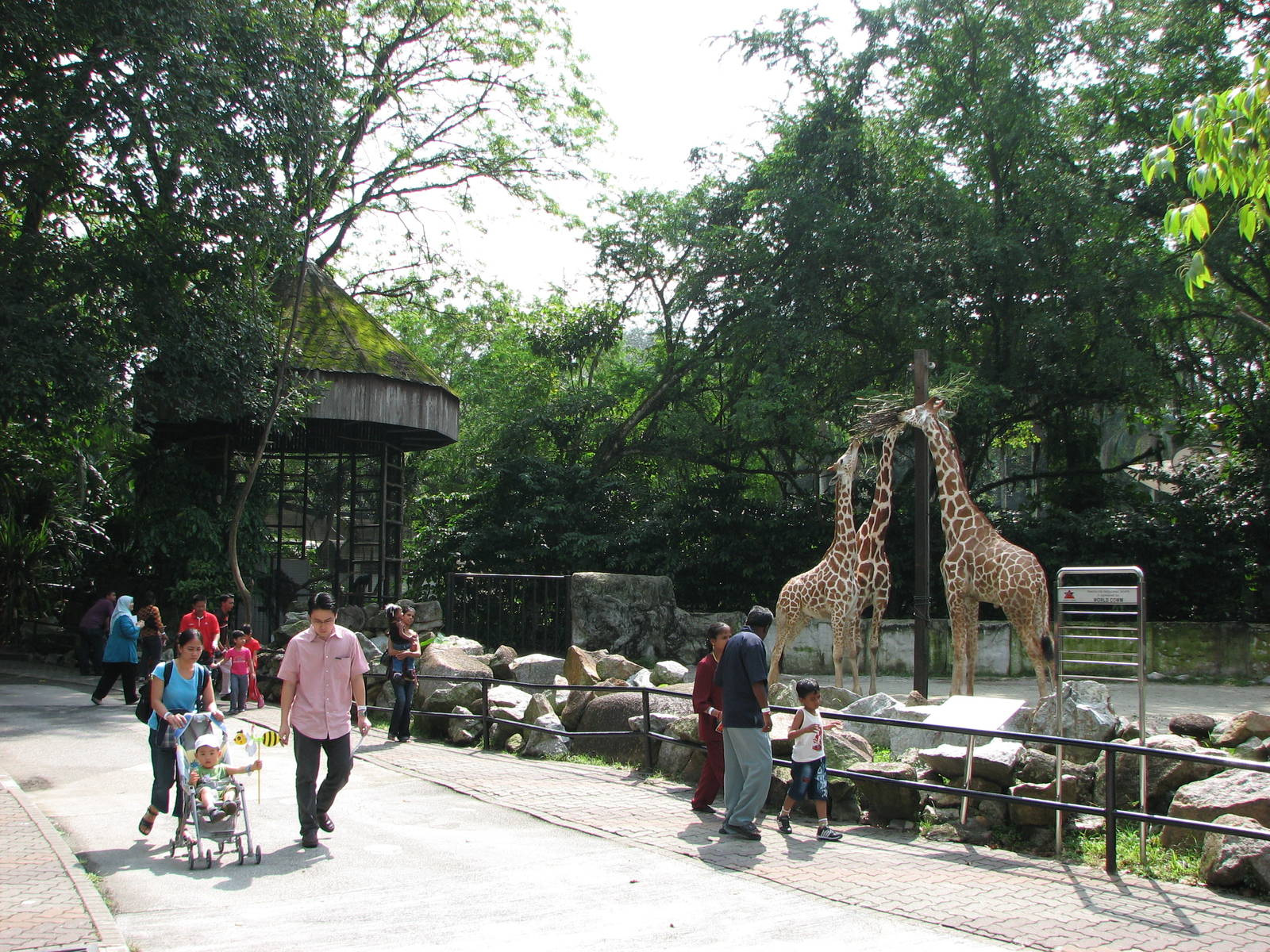Zoo Negara is Offering FREE Entry to February Babies This ...