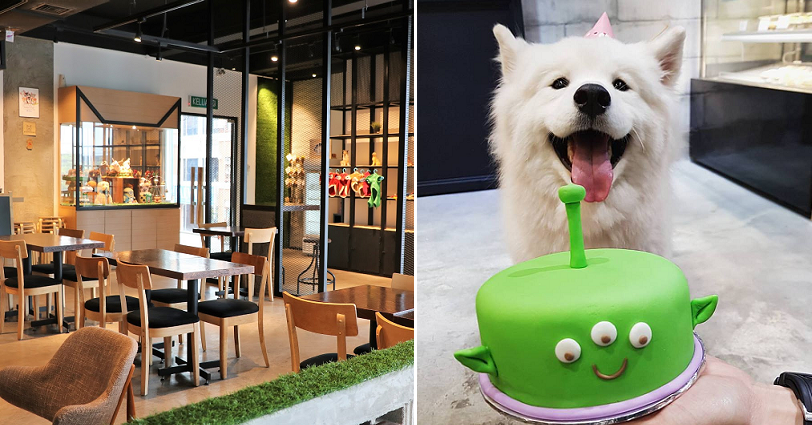 8 Unique Dog-Friendly Cafes M'Sians Can Bring Their Fur-Kids To - World Of Buzz