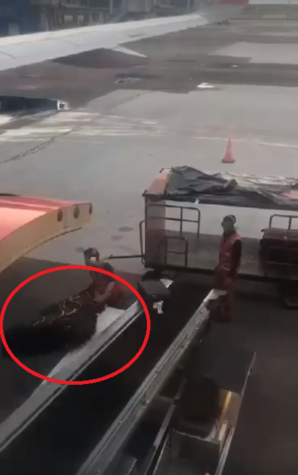 AirAsia Passenger Shares How Rough Baggage Handlers 'Broke' Her Precious Bicycle - WORLD OF BUZZ 1