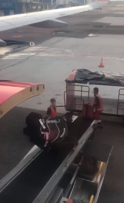 AirAsia Passenger Shares How Rough Baggage Handlers 'Broke' Her Precious Bicycle - WORLD OF BUZZ