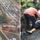 Couple Injured By Fallen Tree Near Klcc Just Got Married Yesterday - World Of Buzz 9
