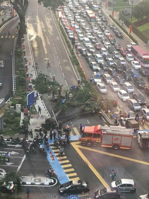 Couple Injured by Fallen Tree Near KLCC Just Got Married Yesterday - WORLD OF BUZZ 1