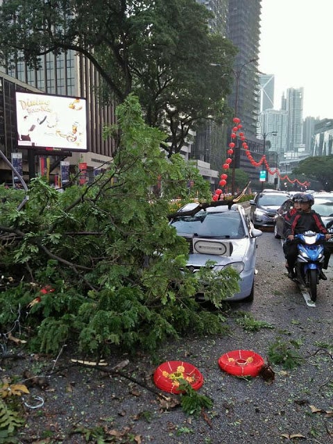 Couple Injured by Fallen Tree Near KLCC Just Got Married Yesterday - WORLD OF BUZZ 2