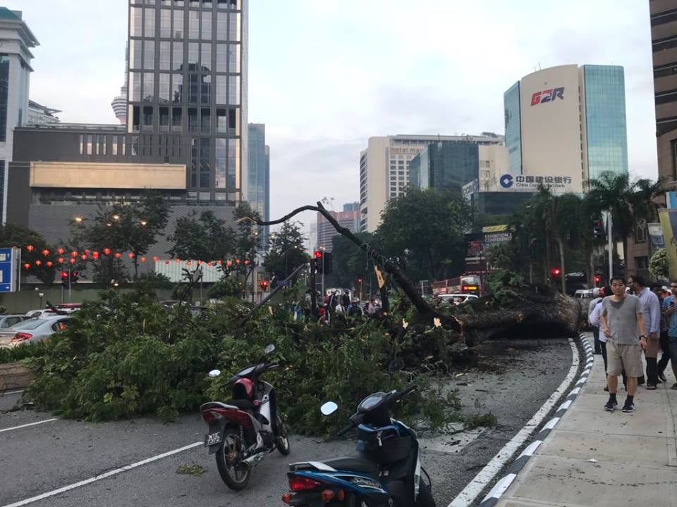 Couple Injured by Fallen Tree Near KLCC Just Got Married Yesterday - WORLD OF BUZZ 5