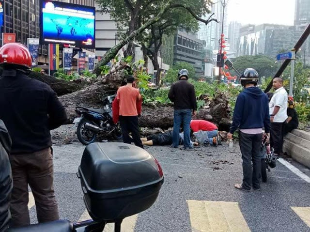 Couple Injured by Fallen Tree Near KLCC Just Got Married Yesterday - WORLD OF BUZZ 7
