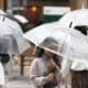 Does Covering Your Head From The Rain Really Prevent You From Getting Sick? - World Of Buzz 7