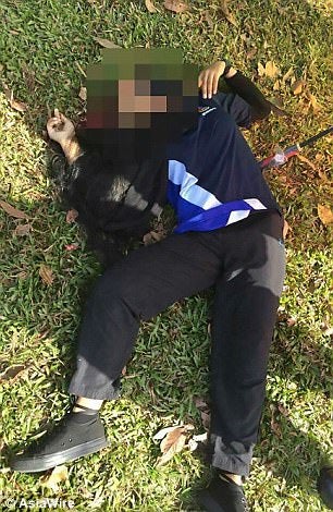 Family of Girl Killed in Lawnmower Freak Accident Receives Only RM5,500 Compensation - WORLD OF BUZZ