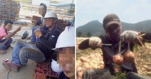 Netizens Confused After Australian Firm Claims They Have a "Malaysian Refugee" Working For Them - WORLD OF BUZZ