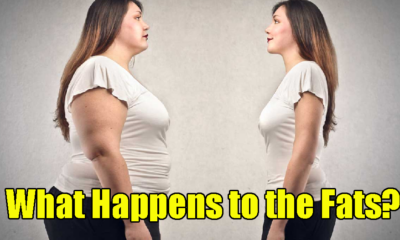 Study Explains Where Fat Goes When You Lost Weight And You'Ll Never Guess It - World Of Buzz 2