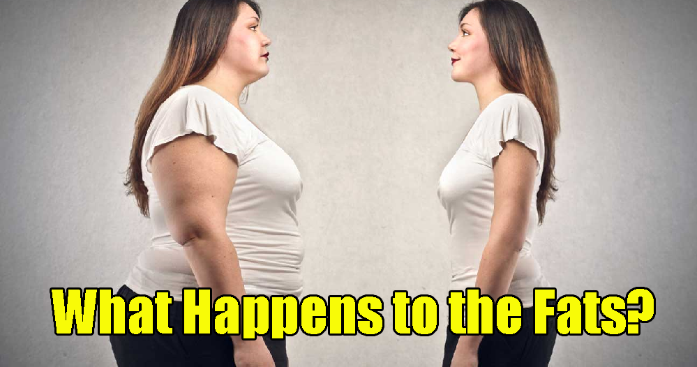 Study Explains Where Fat Goes When You Lost Weight And You'Ll Never Guess It - World Of Buzz 2