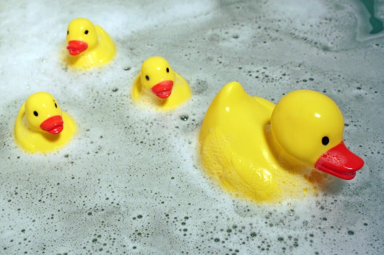 Study Shows Rubber Ducks Have Millions Of Bacteria Which Could Make Children Sick - World Of Buzz