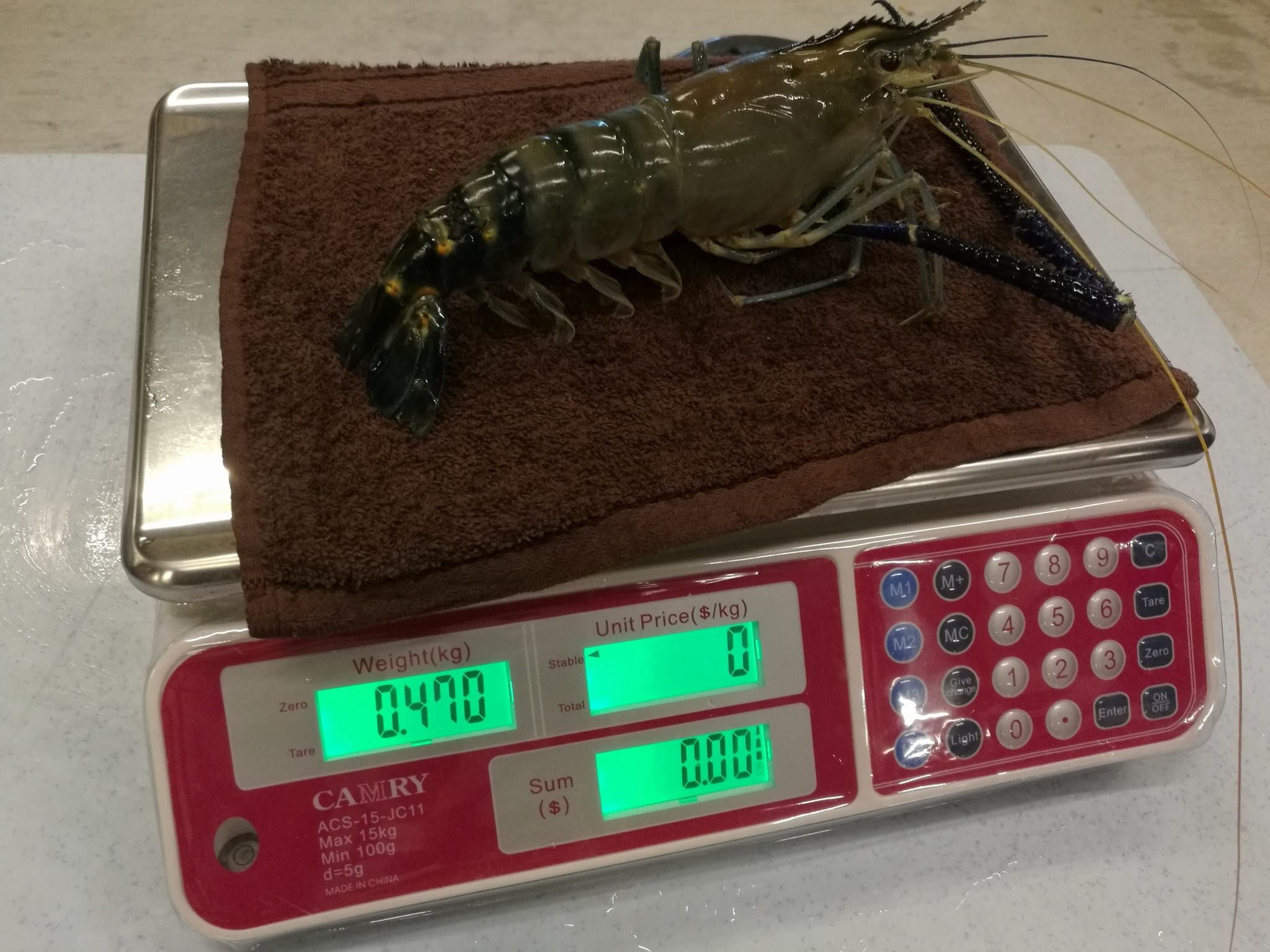 You Can Now Fish For Your Own Prawns And Crabs To Grill Here! - WORLD OF BUZZ 1
