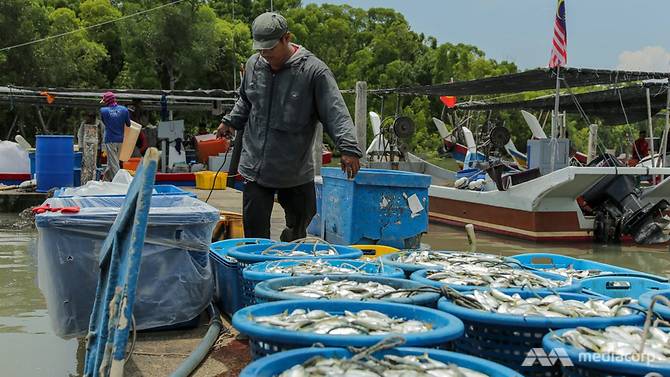 Fishermen in Kedah Unhappy Despite Government Handouts & Plan to Vote For Opposition - WORLD OF BUZZ 3
