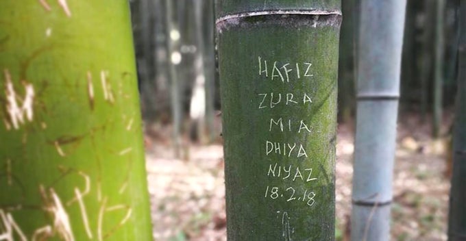 msian tourists allegedly vandalise bamboo at japan unesco heritage site world of buzz