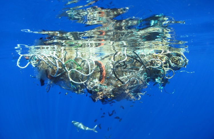Scientists Accidentally Discovers Enzyme That Could Put a Stop to Plastic Pollution - WORLD OF BUZZ 2