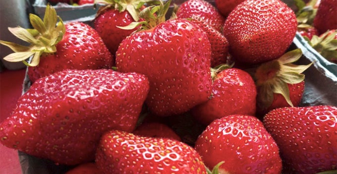 strawberry crowned as the dirtiest fruit as 22 pesticide residues found in one sample world of buzz 1 1