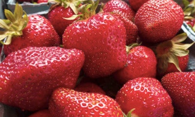 Strawberry Crowned As The Dirtiest Fruit As 22 Pesticide Residues Found In One Sample - World Of Buzz