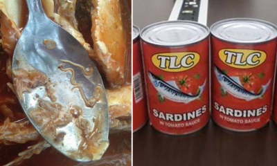 Two Popular Sardine Brands In Malaysia Recalled For Worm Contamination - World Of Buzz