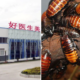 World'S Largest Roach Farm Breeds 6 Billion Cockroaches A Year For 'Healing Potion' - World Of Buzz 6