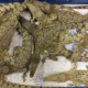 50 Live Crocodiles From M'Sia Seized At London Airport, 10 Crammed Into Each Box - World Of Buzz