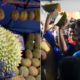 Durian Orchard Owner Gives Away Nearly 1K Durians To Celebrate Pakatan Harapan’s Win - World Of Buzz 5