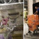 Here'S What The Police Seized From Najib'S House During A Second Raid - World Of Buzz 7