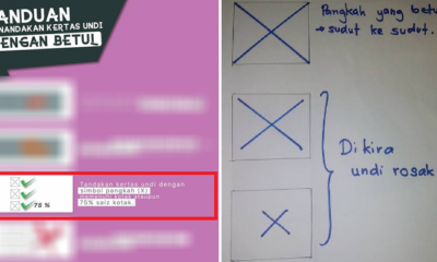 Stop Sharing This Fake Image Of Incorrect Ways Of Marking Your Ballot Paper - World Of Buzz
