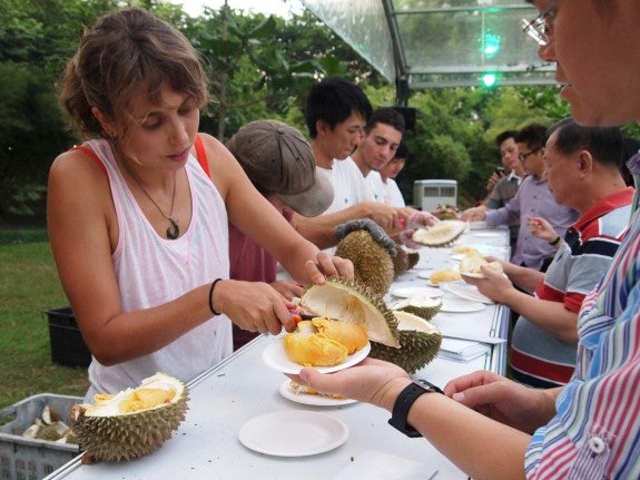 Lindsay Serving Durian At An Event E1530069033469
