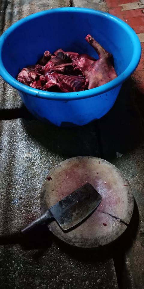 Foreign Workers Use Utensils from Roast Meat Shop to Kill and Cook Dog Meat in Cheras - WORLD OF BUZZ 2
