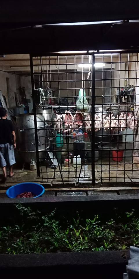 Foreign Workers Use Utensils from Roast Meat Shop to Kill and Cook Dog Meat in Cheras - WORLD OF BUZZ 3