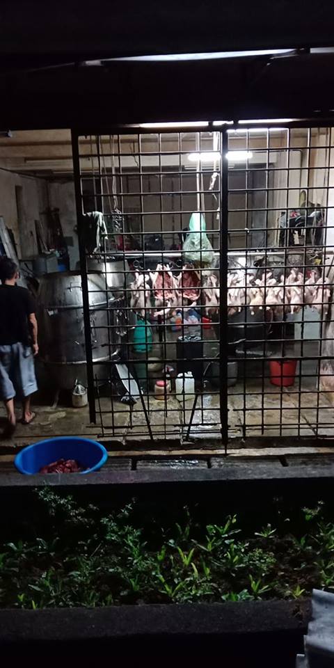 Foreign Workers Use Utensils From Roast Meat Shop To Kill And Cook Dog Meat In Cheras - World Of Buzz 3