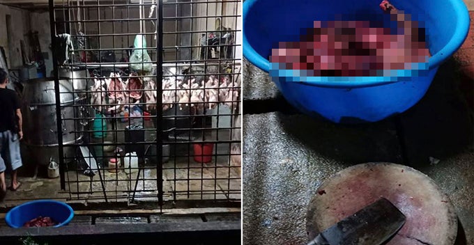 Foreign Workers Use Utensils from Roast Meat Shop to Kill and Cook Dog Meat in Cheras - WORLD OF BUZZ 4