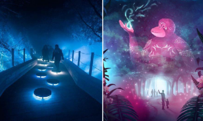 Immerse Yourself In Singapore Zoo'S Luminous Lights Walk Starting July 1 At Only Rm59! - World Of Buzz