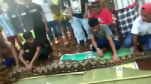 Indonesian Woman Swallowed Whole By A Python! - World Of Buzz 1