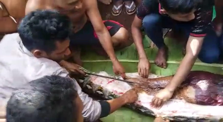Indonesian Woman Swallowed Whole By A Python! - World Of Buzz 4