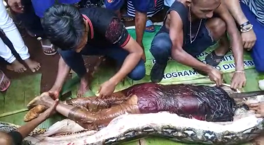 Indonesian Woman Swallowed Whole By A Python! - World Of Buzz 5