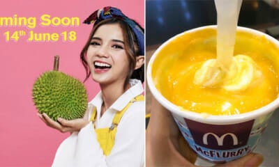 Mcdonald'S D24 Durian Ice Cream Will Be Back On 14 June 2018 - World Of Buzz