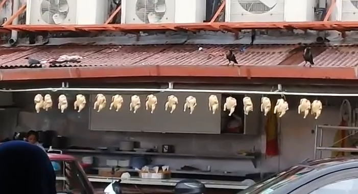 M'sians Outraged After Popular Melaka Restaurant Exposed For Displaying Chicken Meat Outdoors - World Of Buzz 1