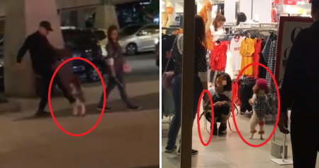 msians outraged with couple who tortured their dog into standing on hind legs at sunway world of buzz 5 1 e1529400483502
