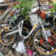 Over 130 Obikes In Jb Disappear Due To Lack Of Supervision &Amp; Tidak Apa Attitude - World Of Buzz